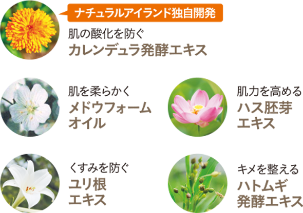 特別な植物のエキス・オイルの図