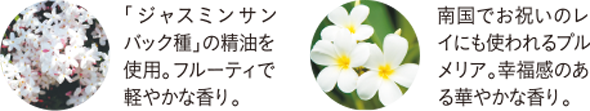 ジャスミン&プルメリアの香りの図